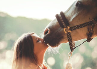 Paardenmeisje daten