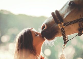 Paardenmeisje daten